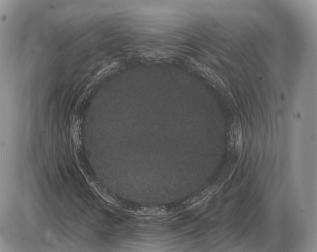 X0000085041346200703191222