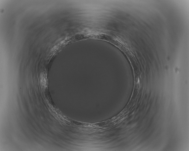 X0000085041348200703191222