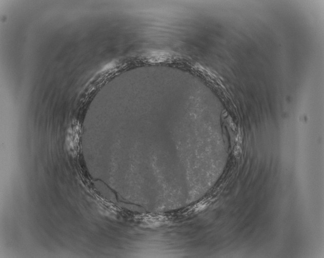 X0000085041349200703191222