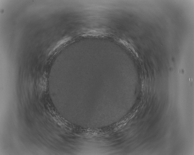 X0000085041350200703191222