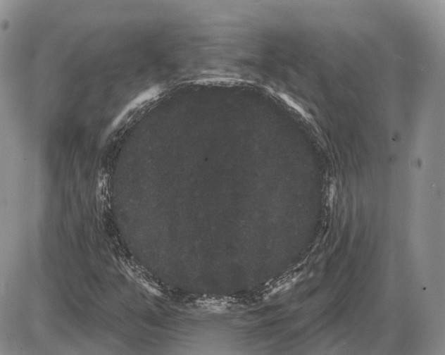 X0000085041351200703191222