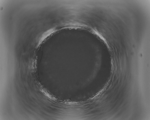 X0000085041352200703191222