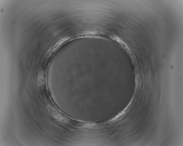 X0000085041353200703191222