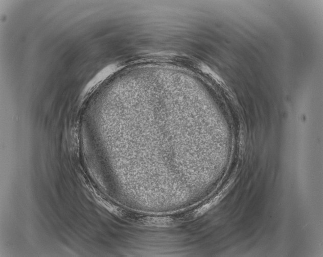 X0000085041354200703191222