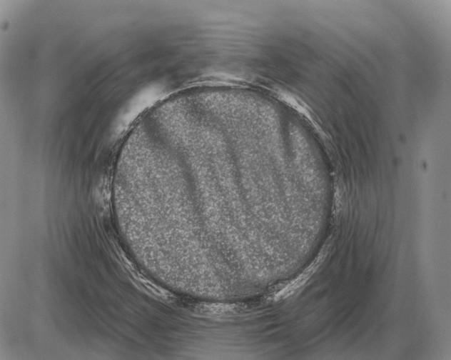 X0000085041355200703191222