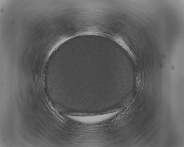 X0000085041356200703191222