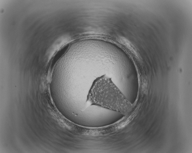 X0000085041357200703191222