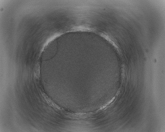 X0000085041358200703191222