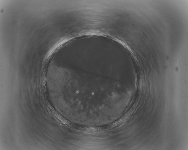 X0000085041359200703191222