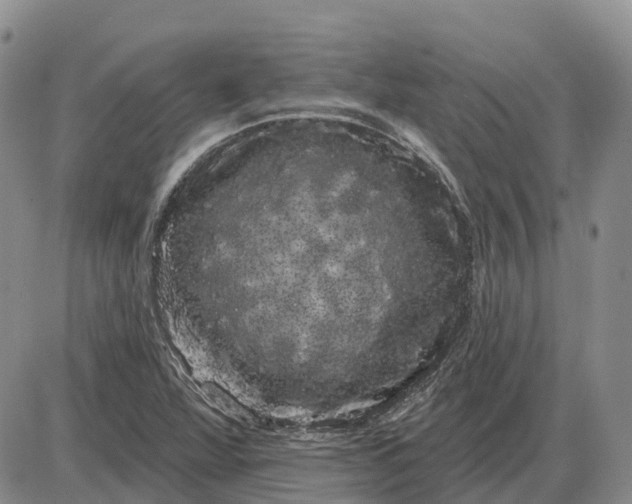 X0000085041360200703191222