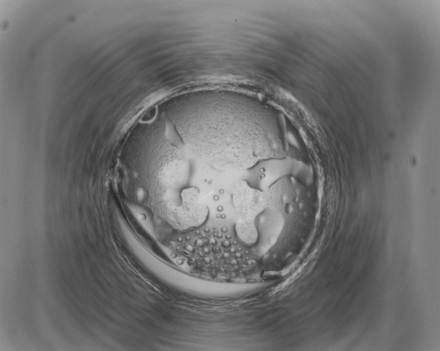 X0000085041361200703191222