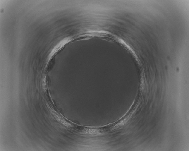 X0000085041362200703191222