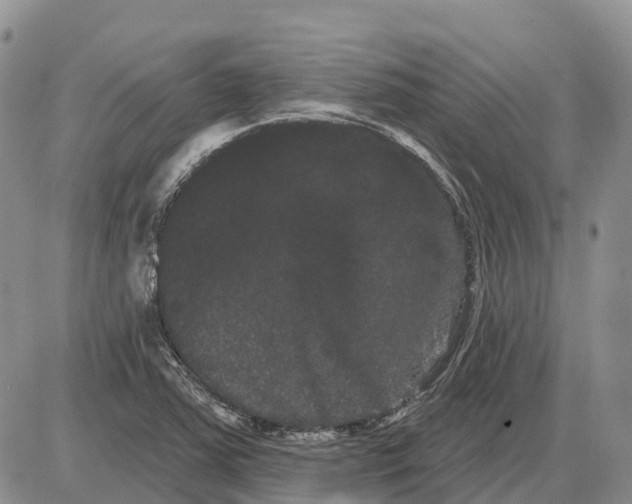 X0000085041363200703191222