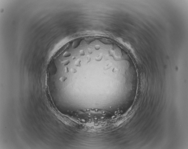 X0000085041365200703191222