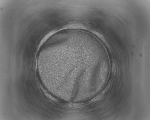 X0000085041366200703191222