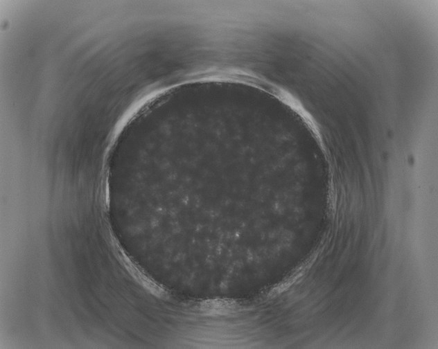 X0000085041368200703191222