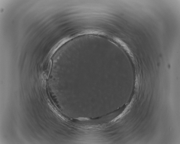 X0000085041369200703191222