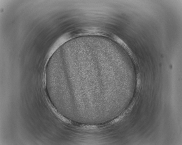 X0000085041370200703191222