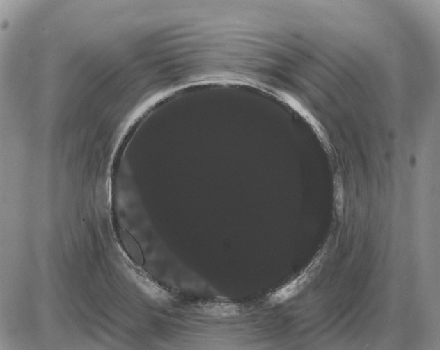 X0000085041372200703191222