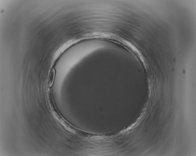 X0000085041373200703191222