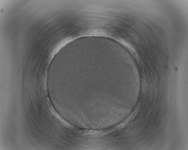 X0000085041374200703191222