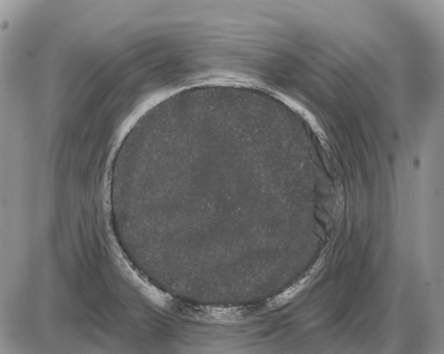 X0000085041375200703191222