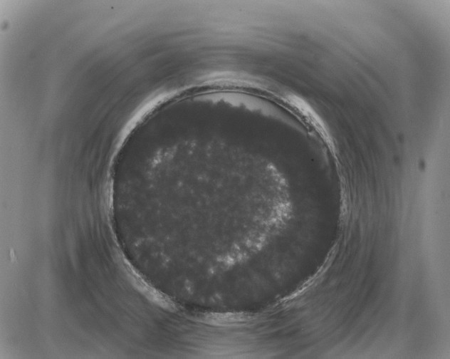 X0000085041376200703191222