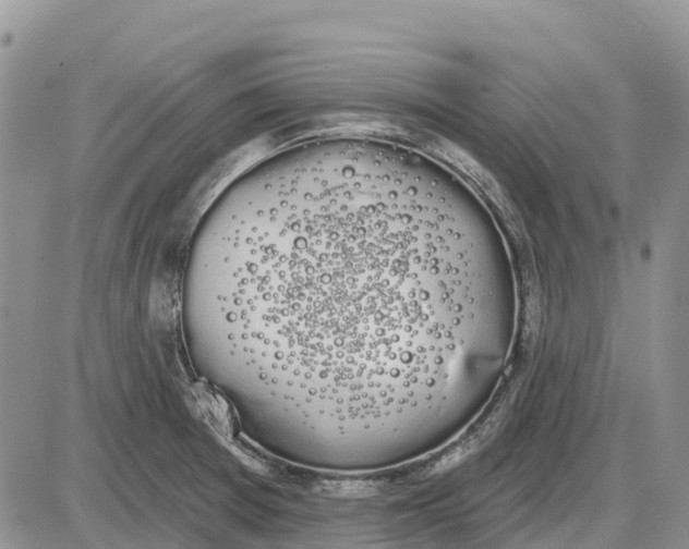 X0000085041377200703191222