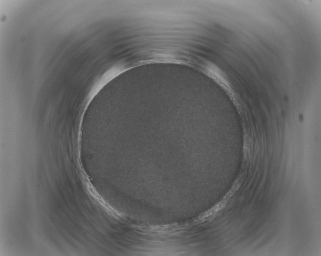 X0000085041378200703191222