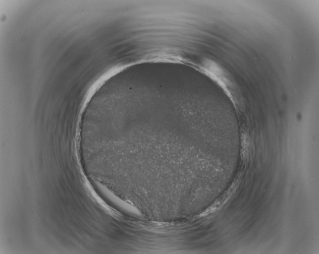 X0000085041379200703191222