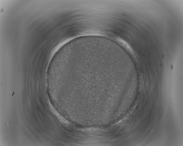 X0000085041380200703191222