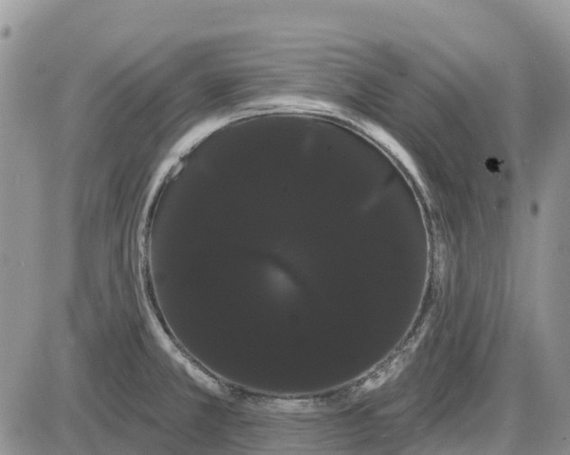 X0000085041381200703191222