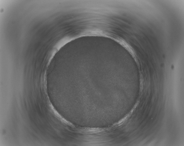 X0000085041382200703191222