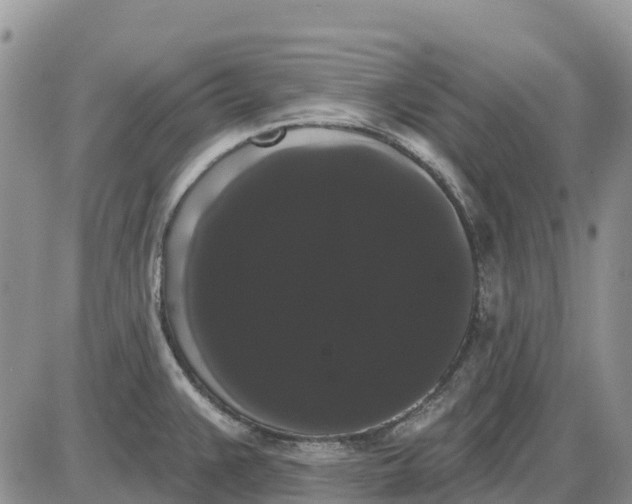 X0000085041383200703191222