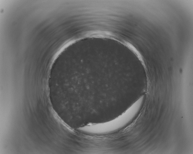 X0000085041384200703191222