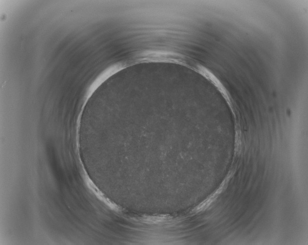 X0000085041386200703191222