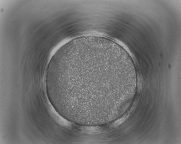 X0000085041387200703191222