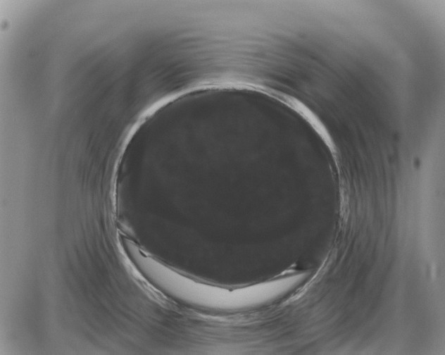 X0000085041388200703191222