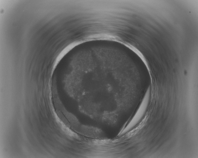 X0000085041389200703191222