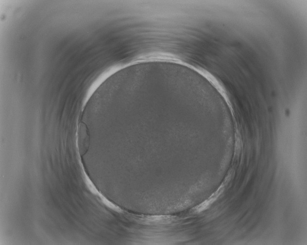 X0000085041390200703191222