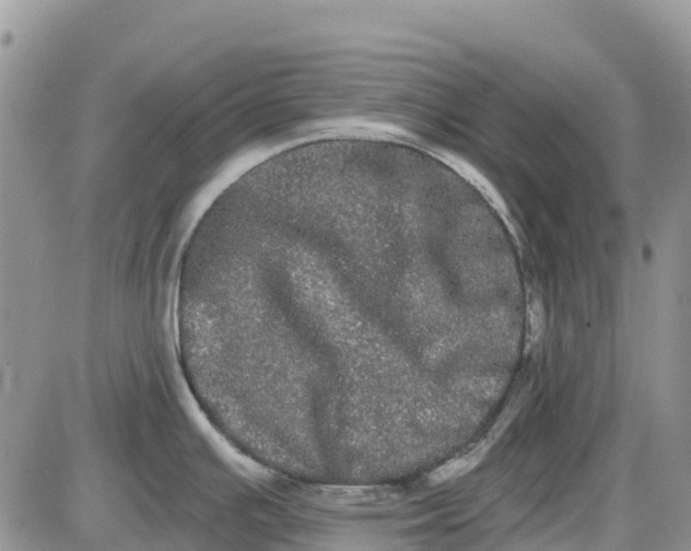 X0000085041391200703191222