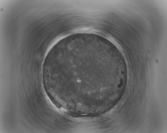 X0000085041392200703191222