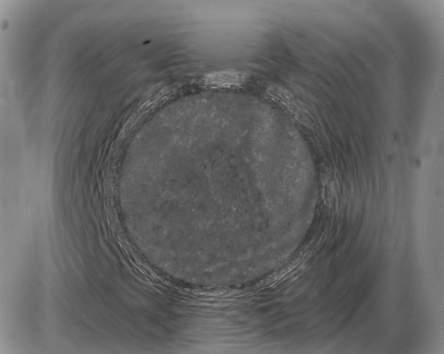 X0000085041393200703191221