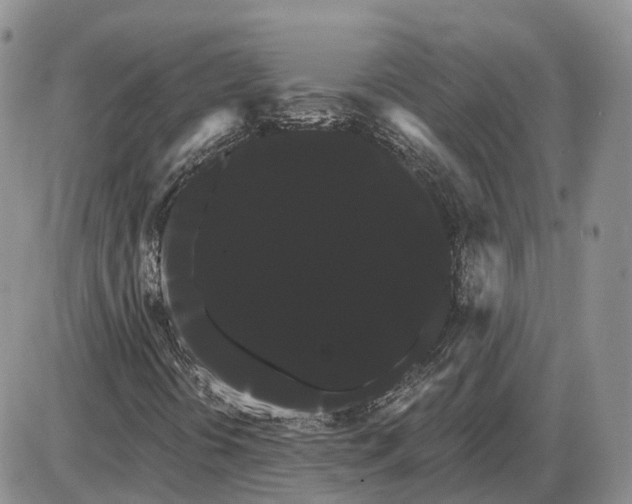 X0000085041394200703191221