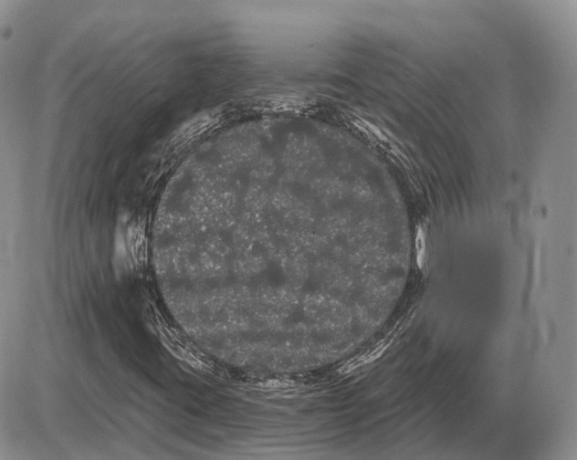 X0000085041395200703191221