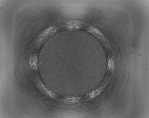 X0000085041396200703191221