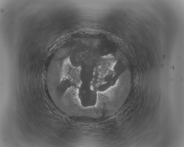 X0000085041397200703191221