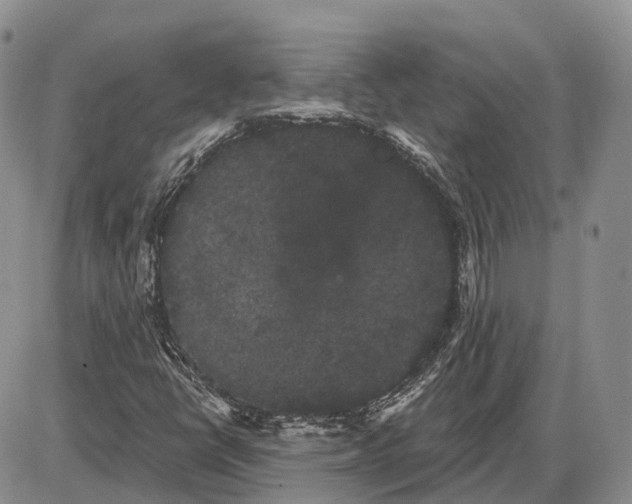 X0000085041398200703191221