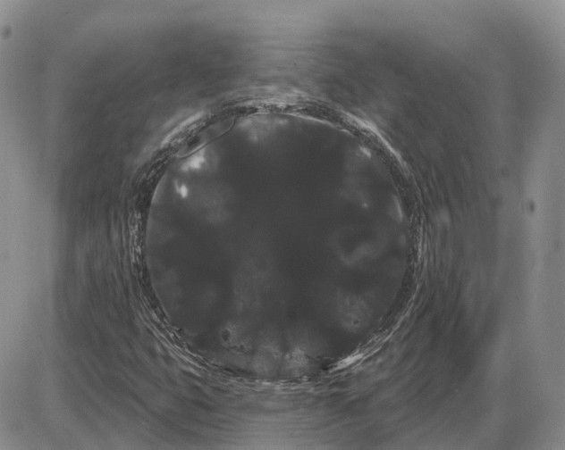 X0000085041399200703191221