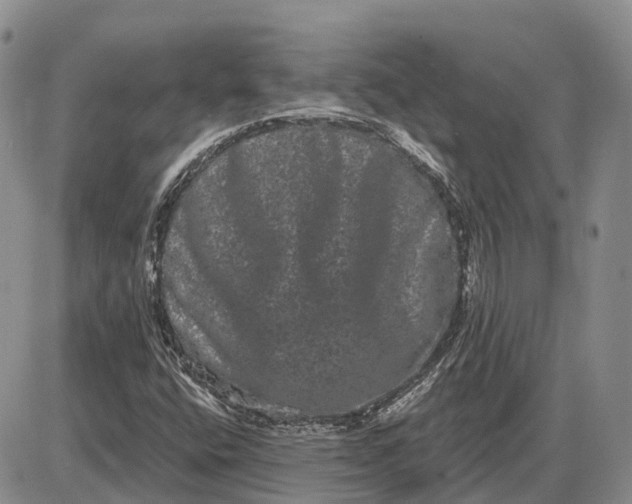 X0000085041400200703191221